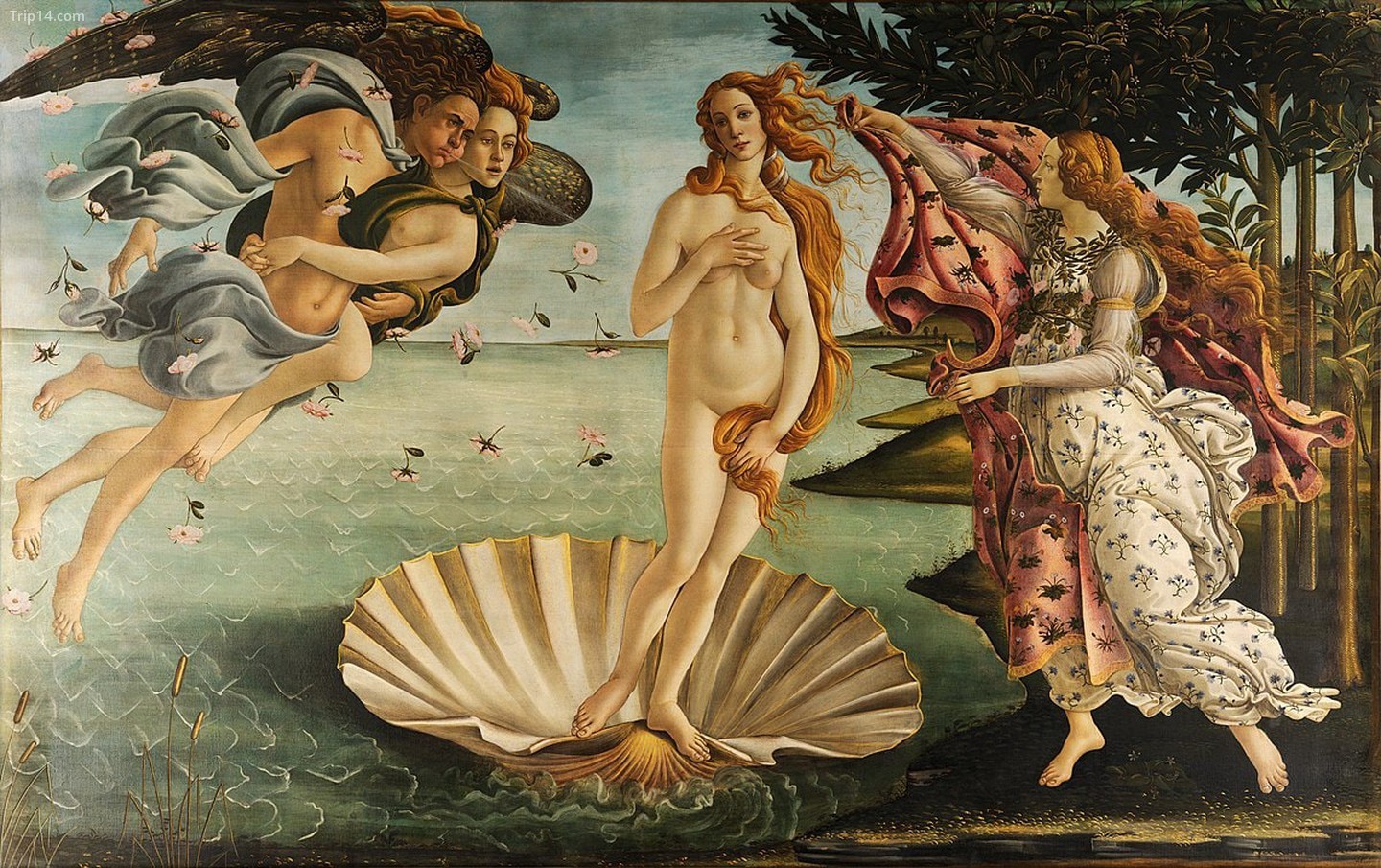  Sự ra đời của Venus bởi Botticelli   |   