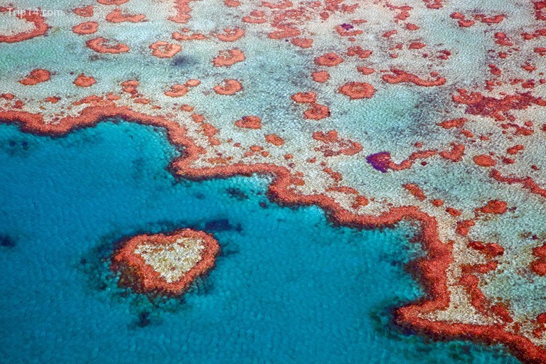 Ảnh chụp từ trên cao của Rạn san hô hình trái tim, một phần của Rạn san hô Great Barrier của Whitsundays ở biển Coral, Queensland, Australia - Trip14.com
