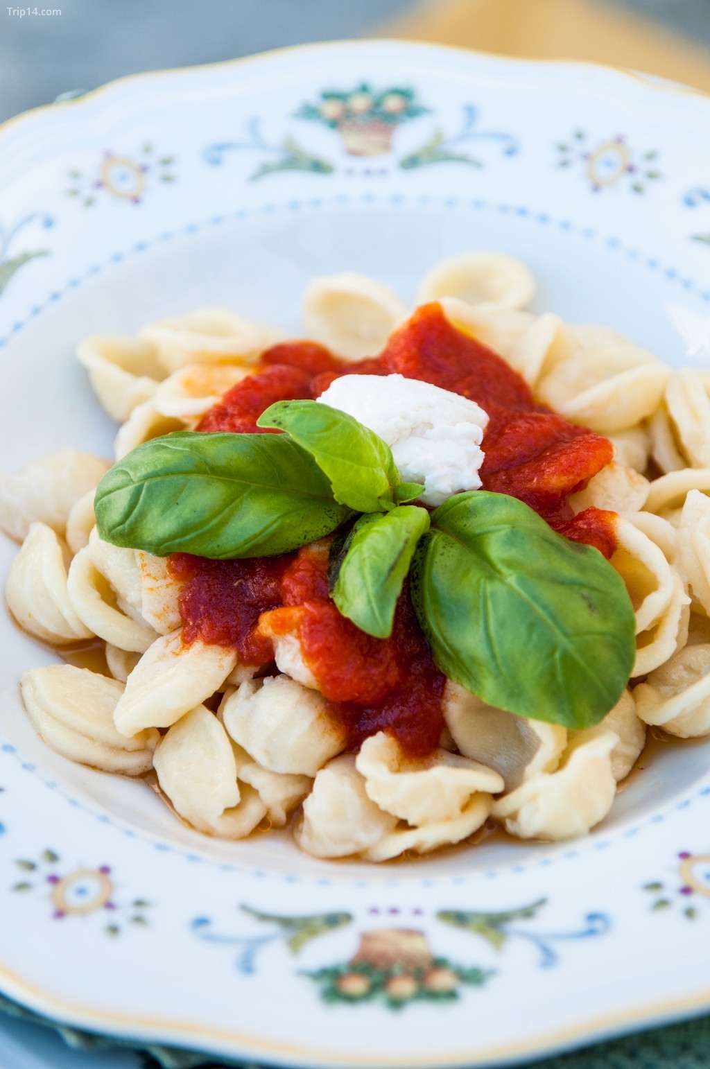 Orecchiette pasta với cà chua và húng quế