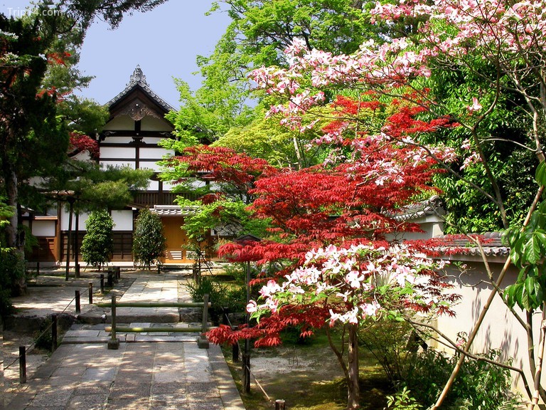 Đền Tenryu-ji