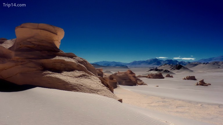 Sa mạc Atacama 