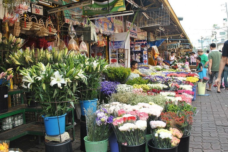 Chợ hoa Dangwa - Trip14.com