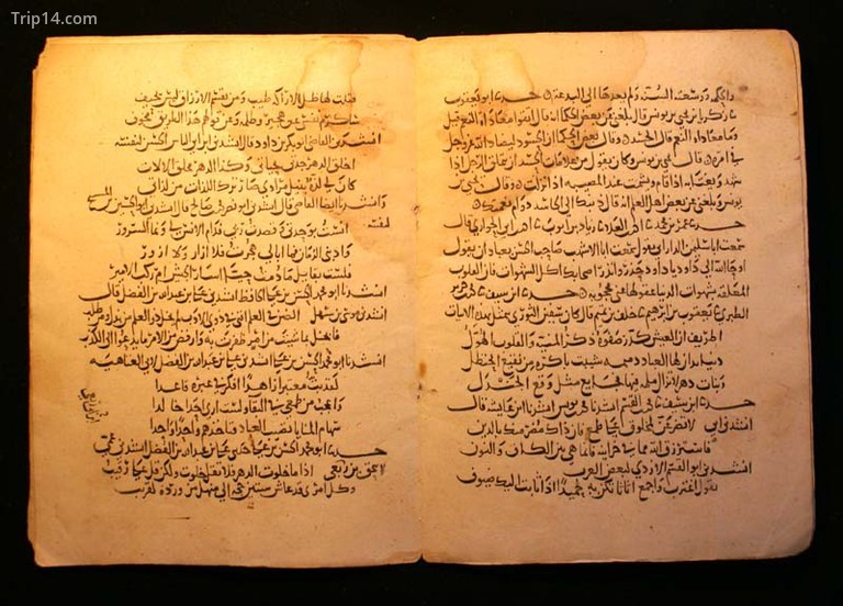 Bản thảo tiếng Ả Rập | © WikiCommons - Trip14.com