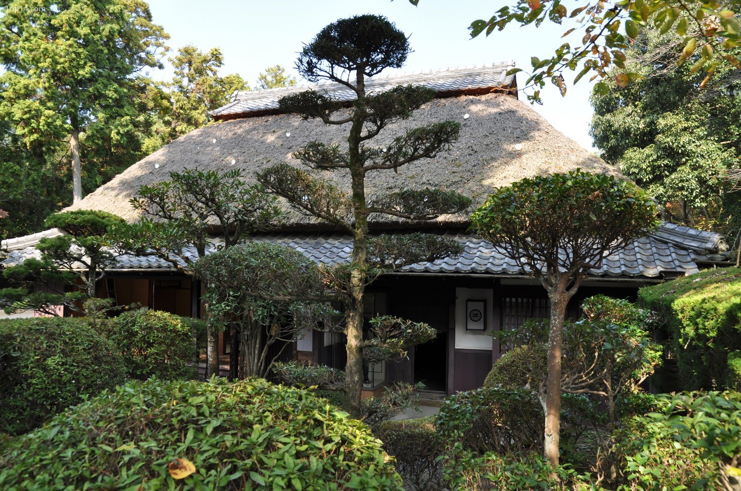  Nhà và Bảo tàng Ninja, ở Iga Ueno, có lẽ là ví dụ hiện đại xác thực nhất về kiểu xây dựng này   |   