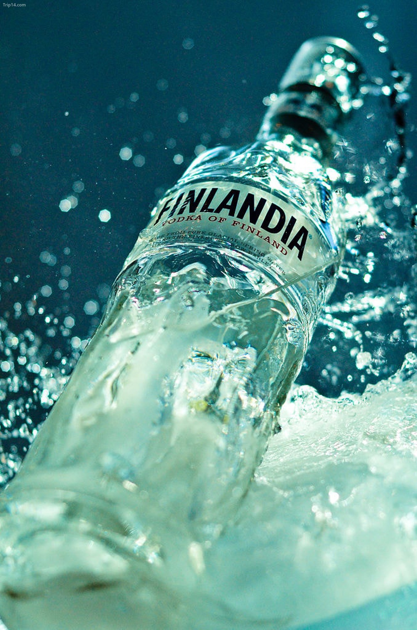  Một chai rượu vodka Finlandia.   |   