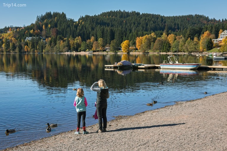 Bờ hồ Titisee vào mùa thu, Đức - Trip14.com