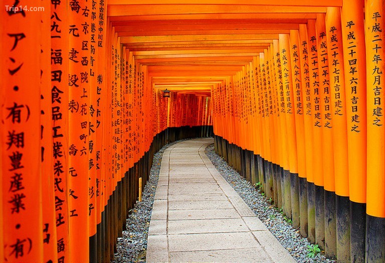 Đường hầm cổng đền Torii
