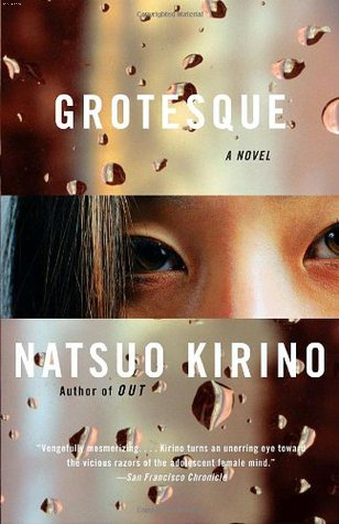 Grotesque bởi Natsuo Kirino