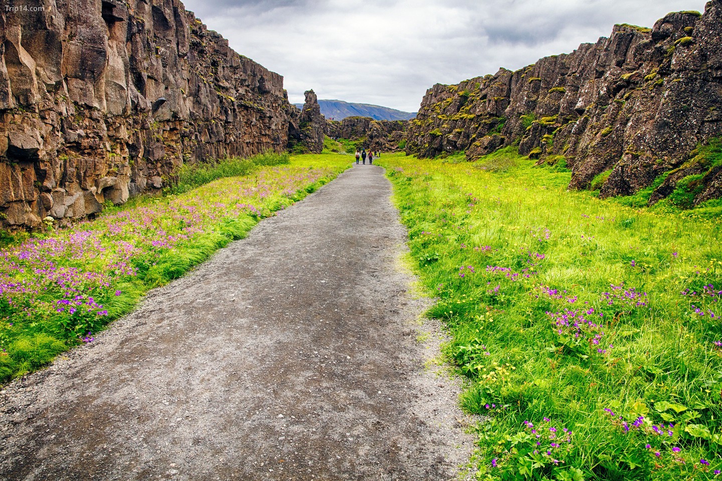 Đi bộ qua Vườn quốc gia Þingvellir