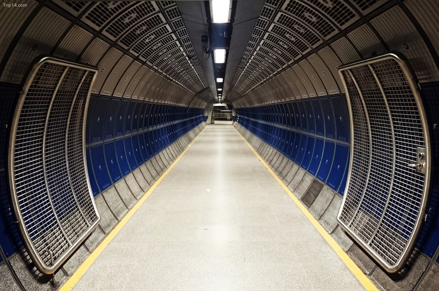 The Underground trong chiến tranh