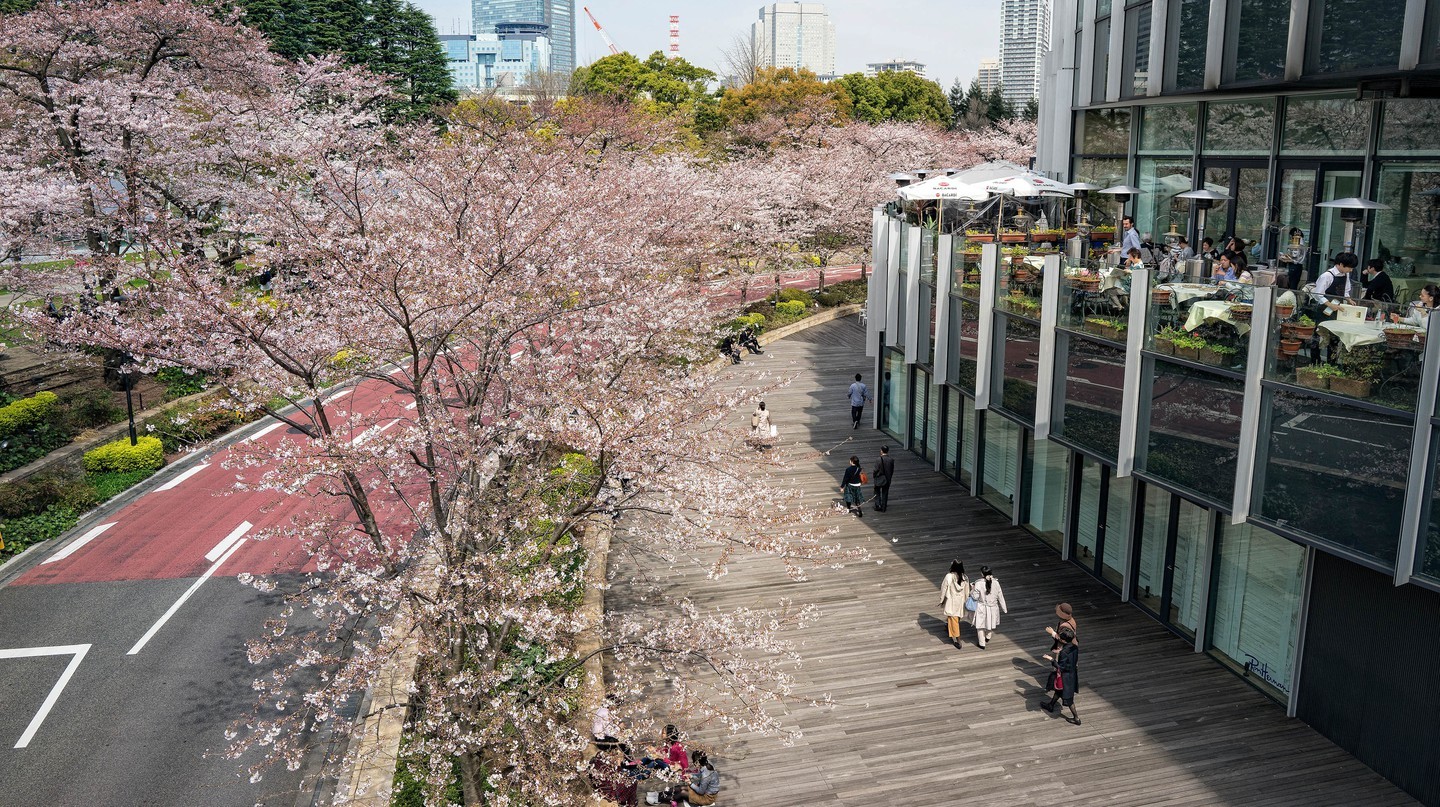 Quận Midtown Roppongi vào mùa xuân, Tokyo, Nhật Bản. | © Didier ZYLBERYNG / Alamy Stock Photo