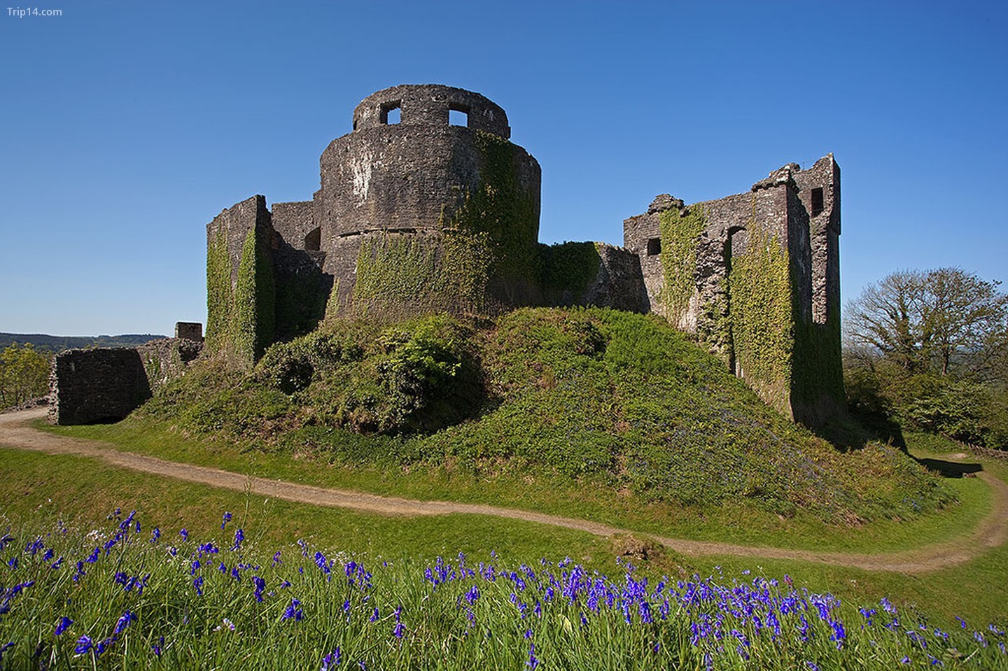  Lâu đài Dinefwr   |   
