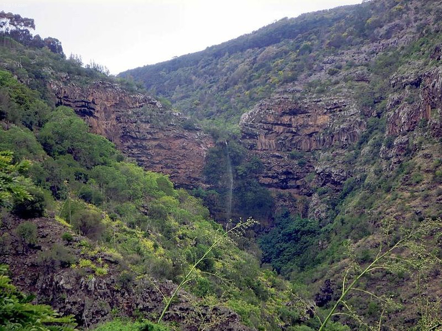 St Helena, Lãnh thổ hải ngoại thuộc Anh