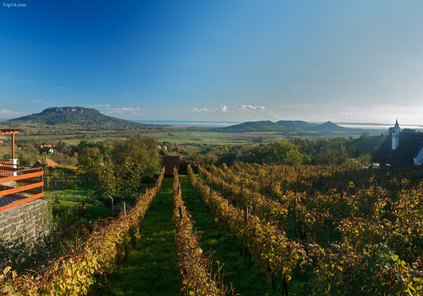 Rượu vang ở Hồ Balaton được cho là có độ mặn cao hơn do gần với nước. 