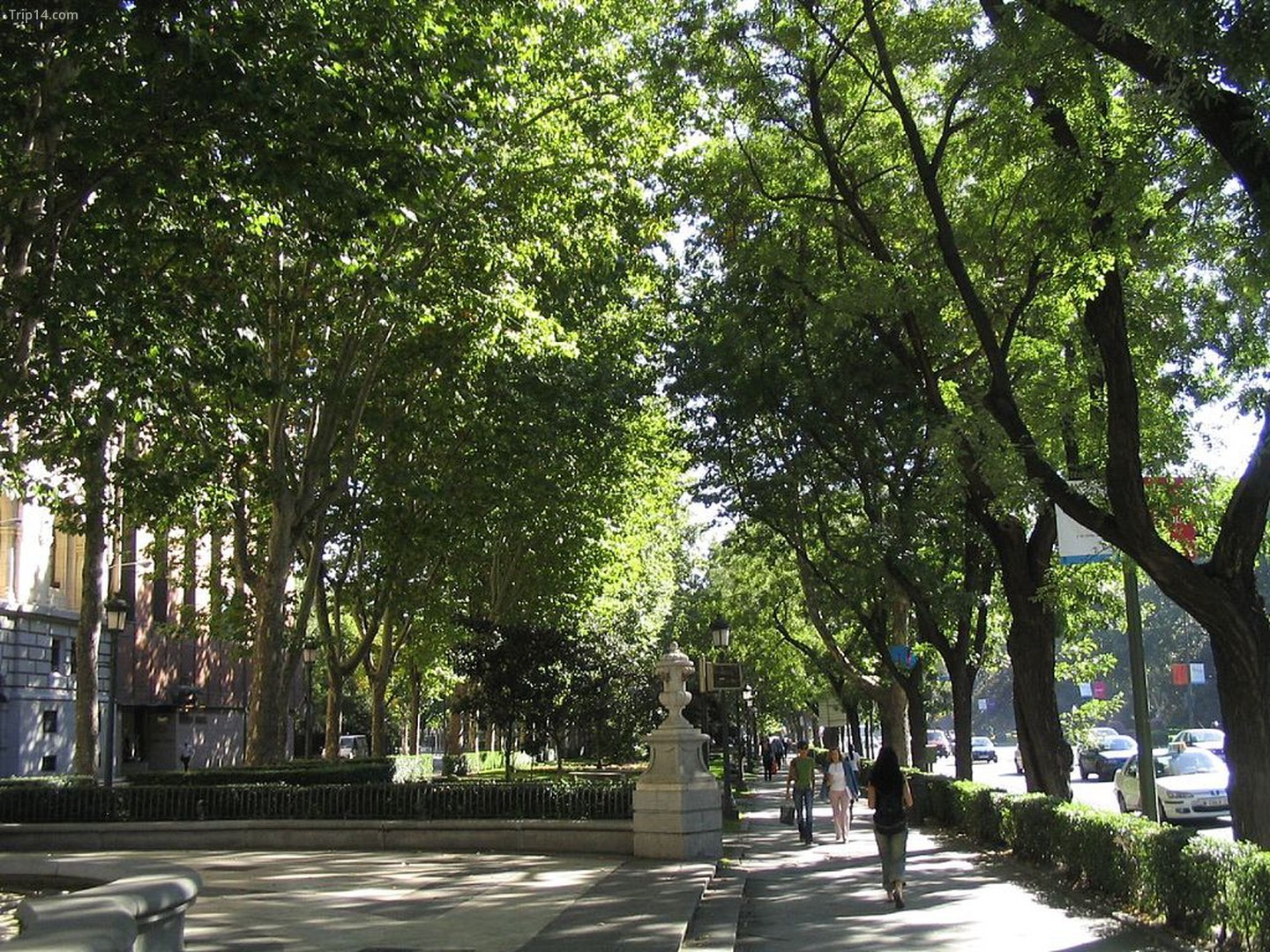 Paseo del Prado