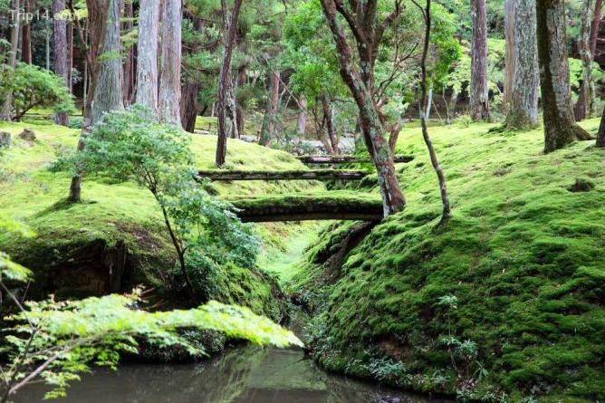 Vườn rêu Saiho-ji - Trip14.com