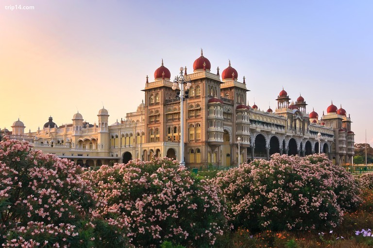Mysore, Ấn Độ - Trip14.com
