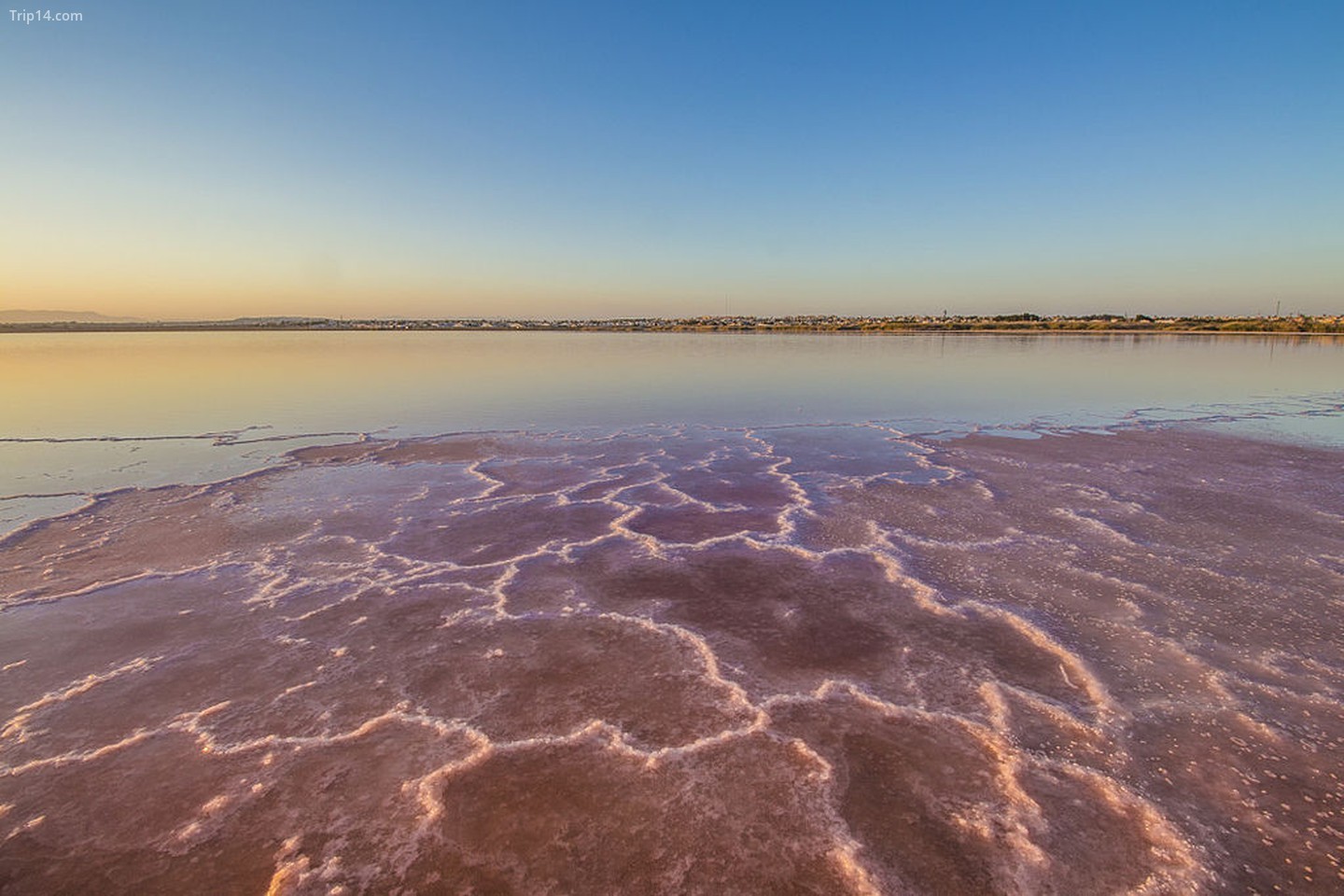 Hồ muối hồng ở Torrevieja, Tây Ban Nha