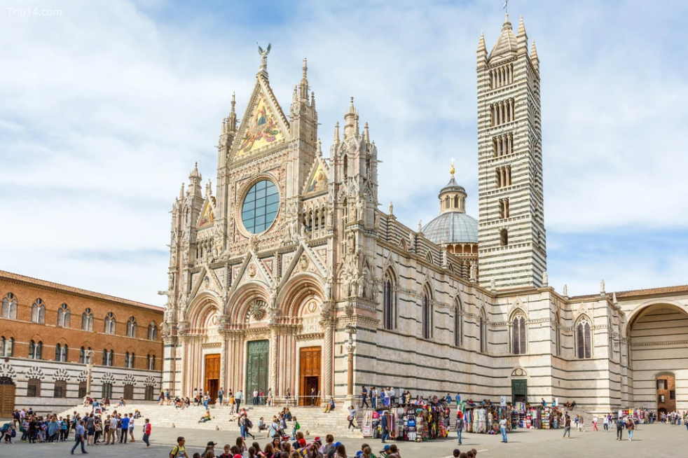 Những lý do hàng đầu mà bạn nên đến Siena, Ý - Ảnh 3