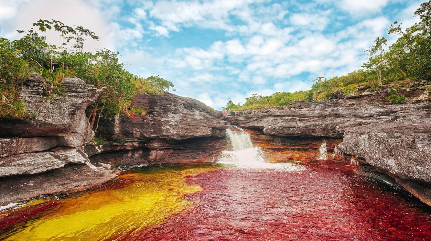 Dòng sông sắc màu Caño Cristales, Colombia