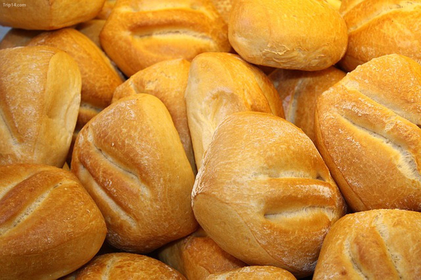  Bánh mì Đức