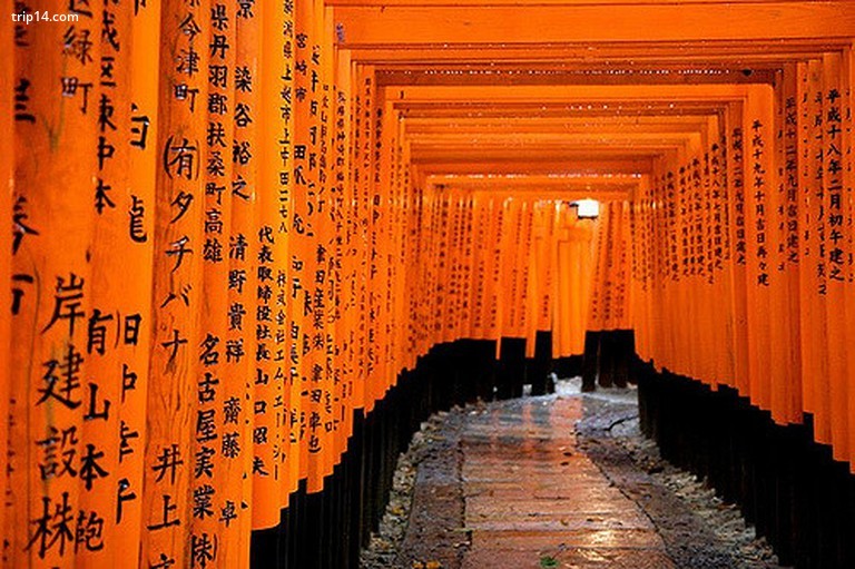 Đường hầm đền Fushimi Inari Taisha của Torii Gates - Trip14.com