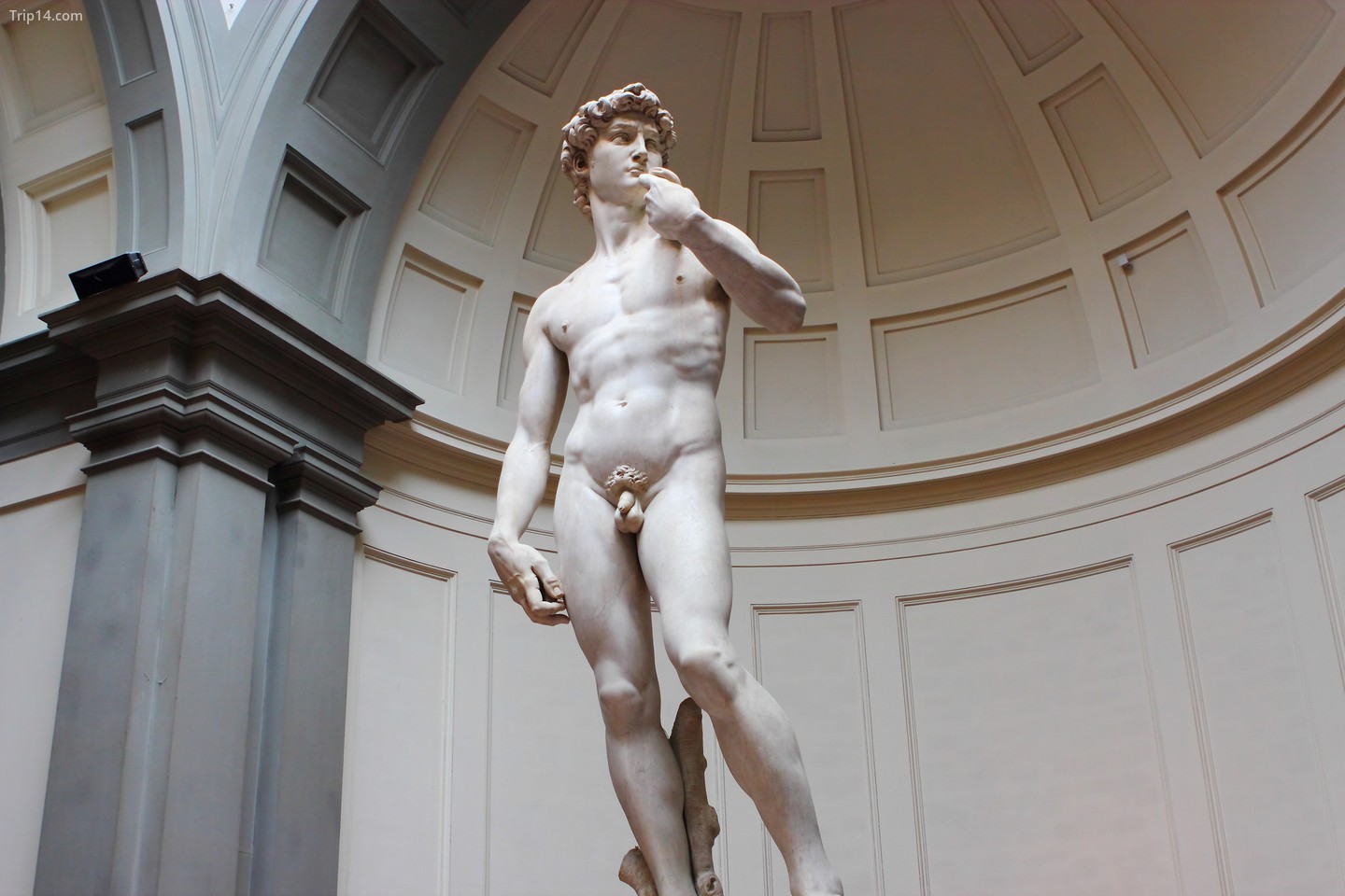 David của Michelangelo