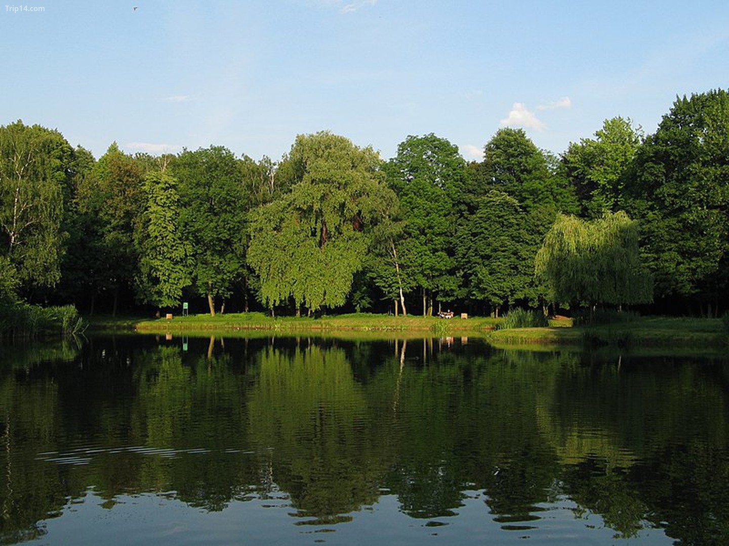 Siemianowice Śląskie