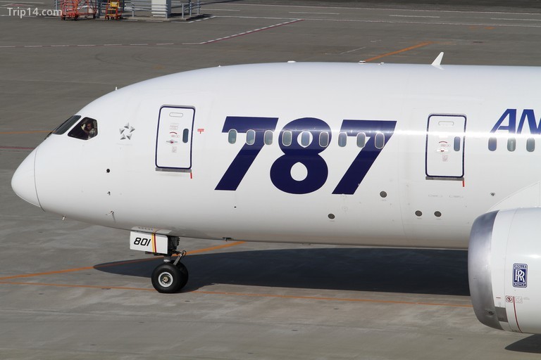 787 Dream ngôi nhà - Trip14.com