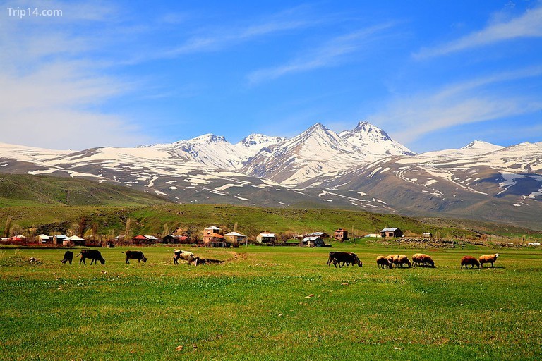 Núi Aragats
