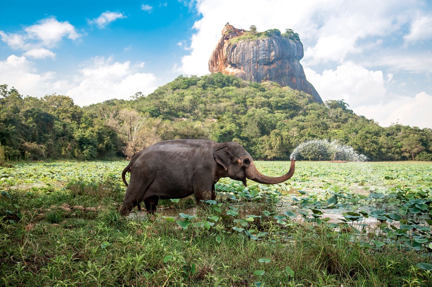 Lịch trình 2 tuần khám phá Sri Lanka