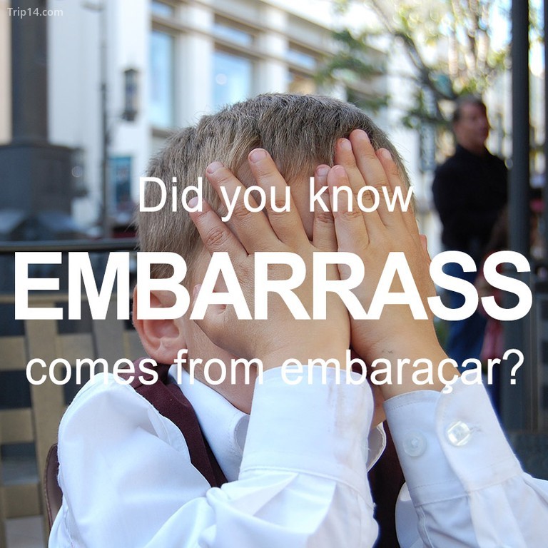 Nguồn gốc của từ embarrass 