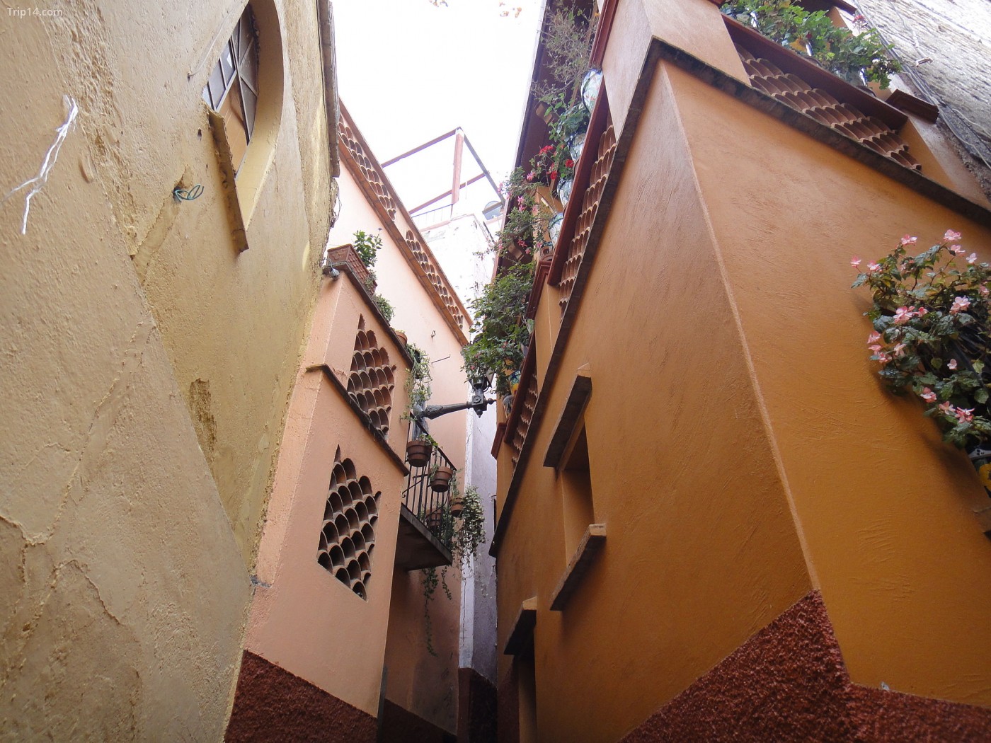 El Callejón del Beso (Con đường của những nụ hôn), Guanajuato - Trip14.com