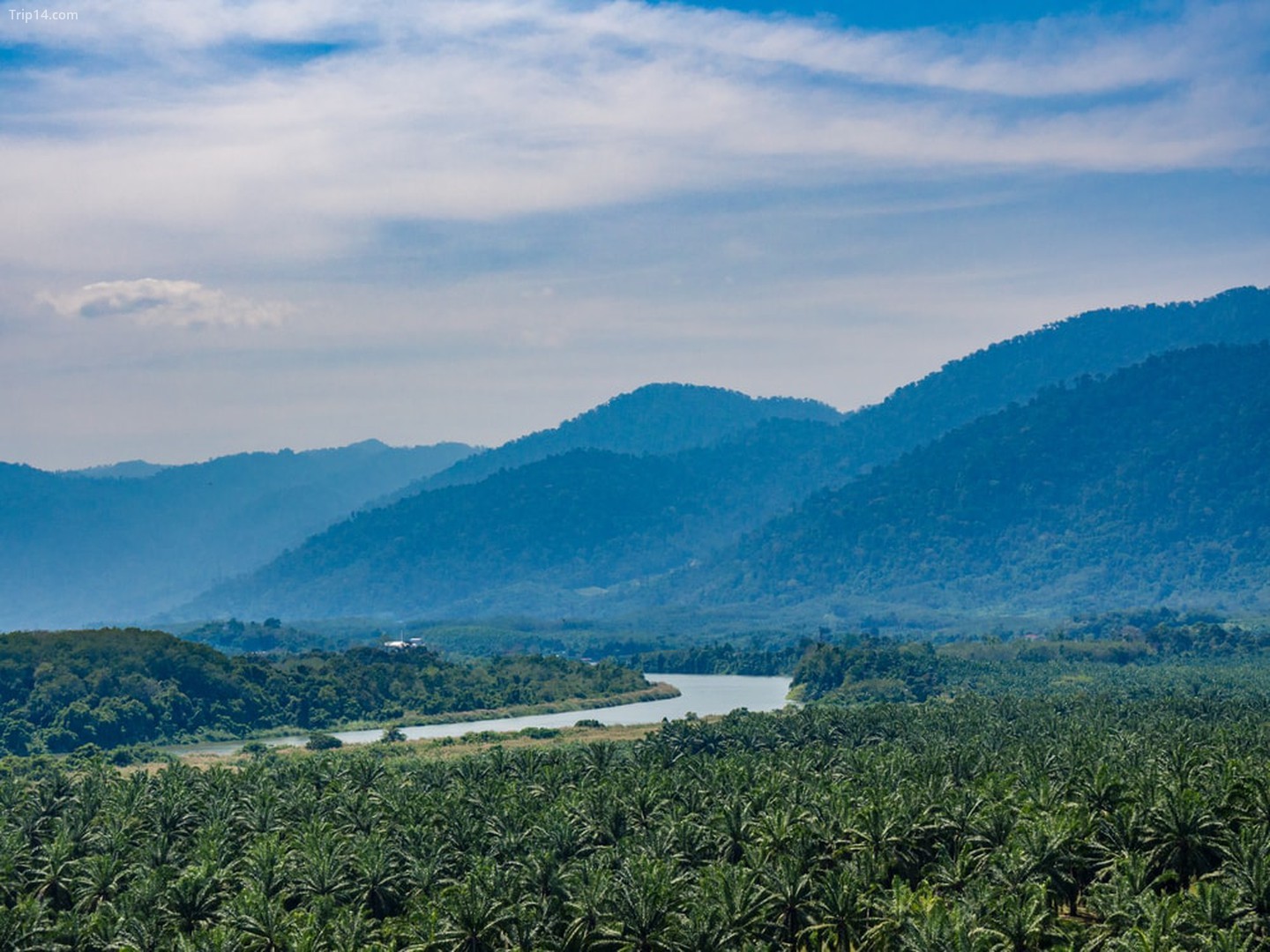 Rừng nhiệt đới ở Thung lũng Lenggong, Perak