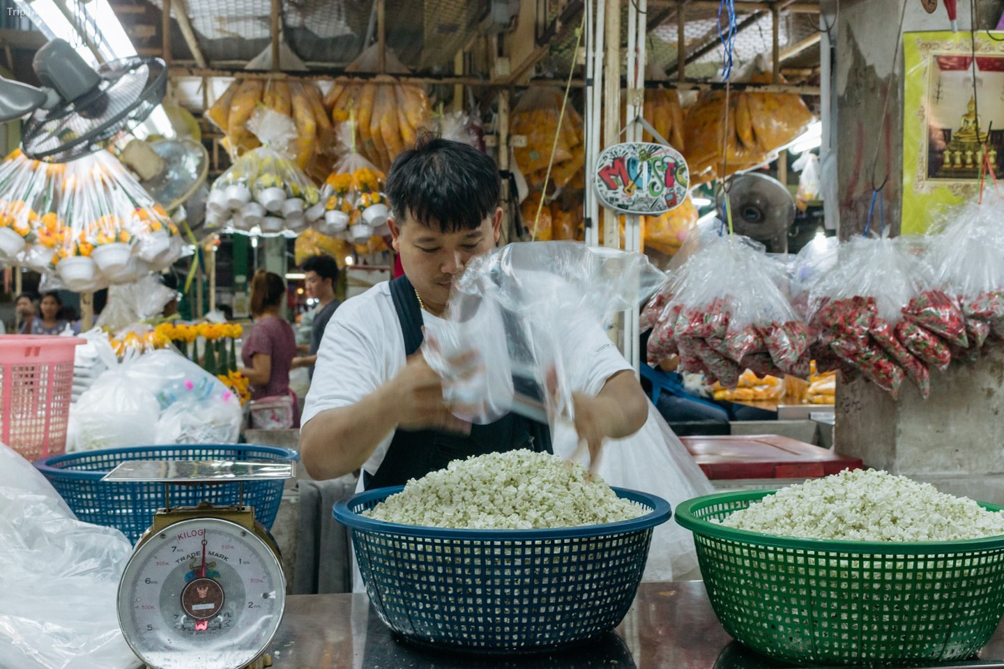 chợ hoa Thái Lan