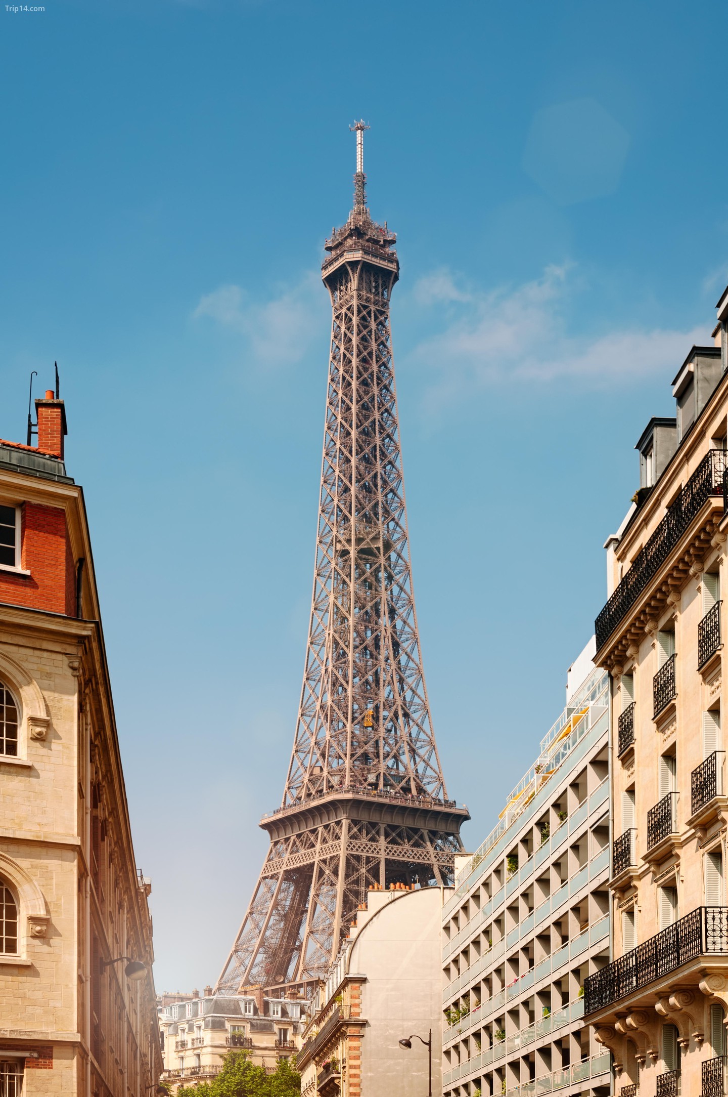 Đèn trên tháp Eiffel làm phức tạp bản quyền