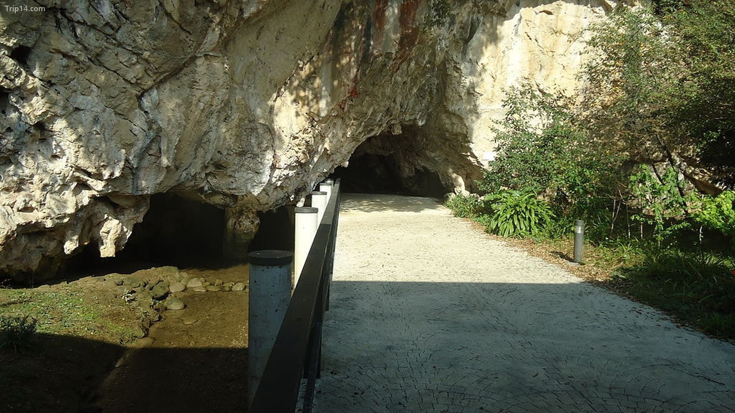  Cuevas de Tito Bustillo, Ribadesella, Tây Ban Nha   |   