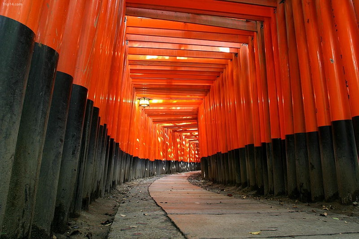 Fushimi Inari, Kyoto (Hồi ức của một Geisha)