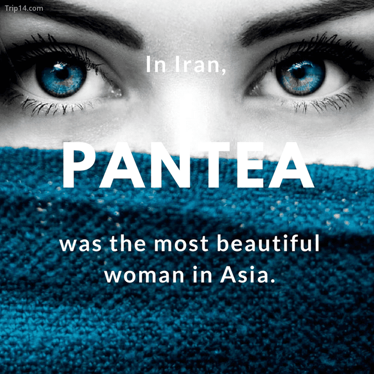 Pantea - người phụ nữ đẹp nhất châu Á