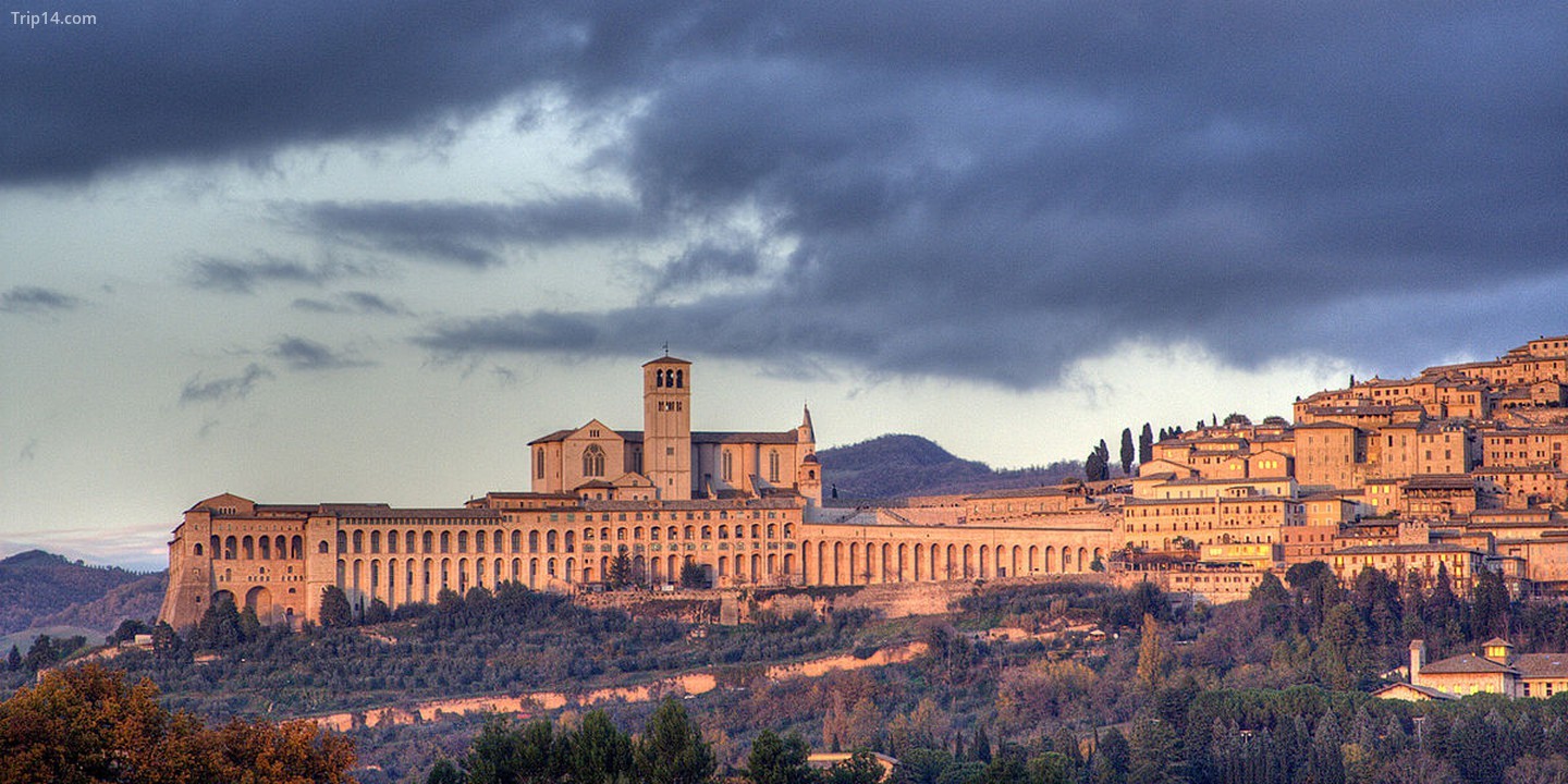  Vương cung thánh đường San Francesco d'Assisi   |   