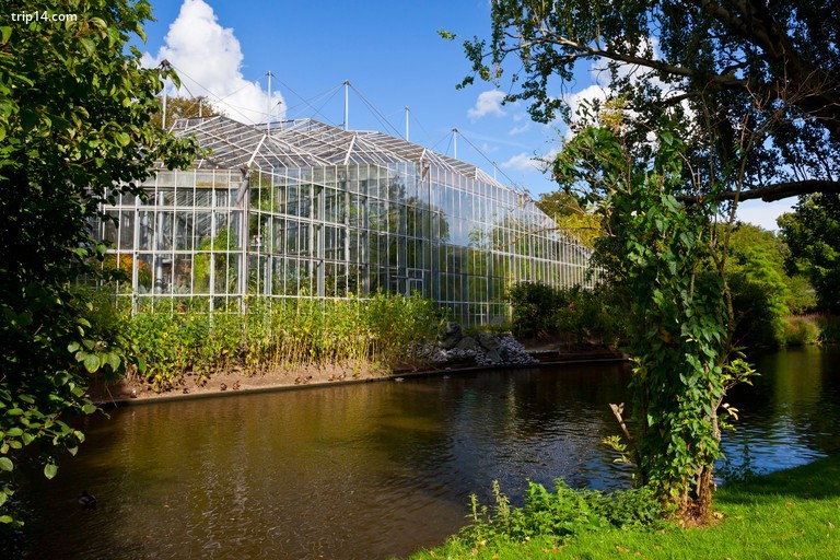 Tòa nhà vườn thực vật De Hortus, Amsterdam. - Trip14.com