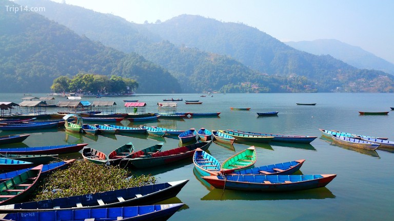 Thuyền tại hồ Phewa ở Pokhara | © Mario Micklisch / Flickr - Trip14.com