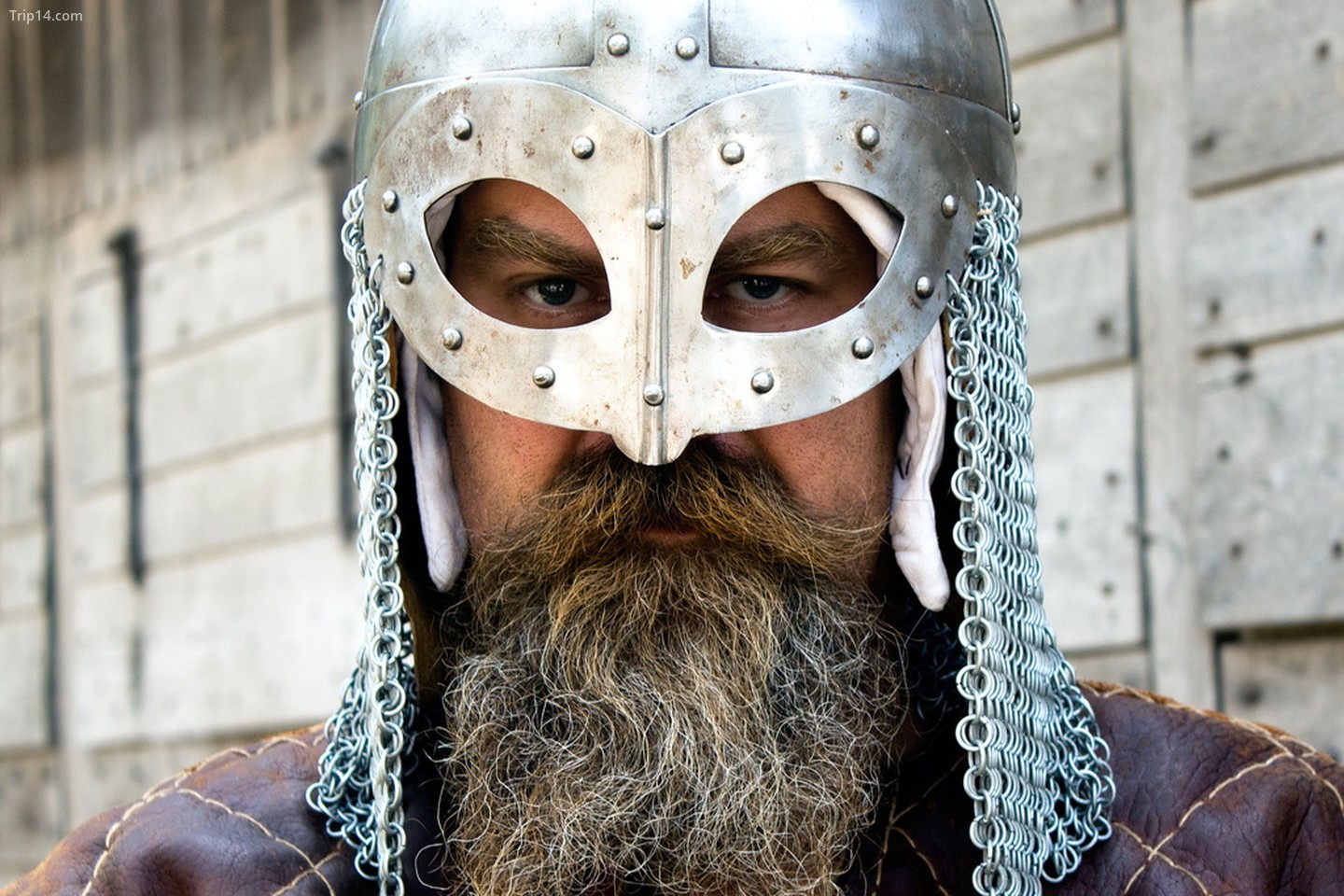 Học cách trở thành người Viking bằng cách sống như một trong một năm