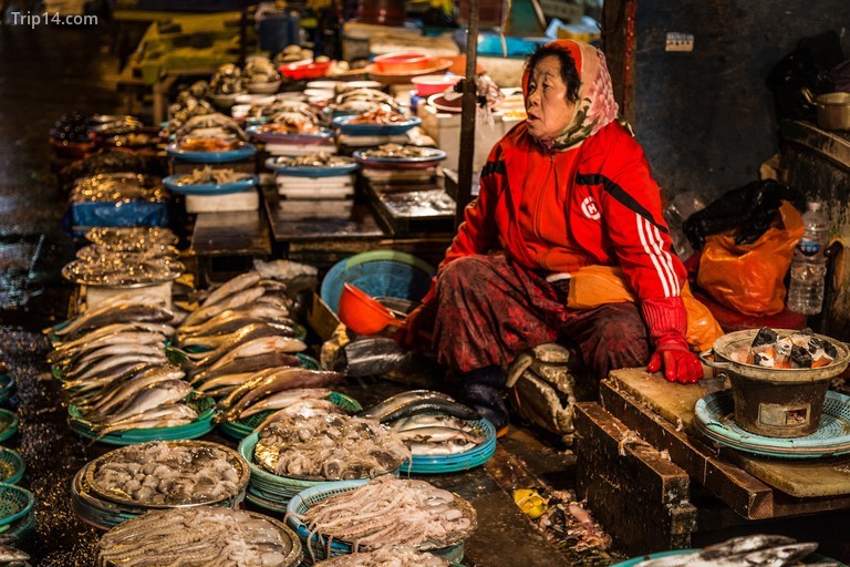 Bà già ở chợ cá Jagalchi - Trip14.com