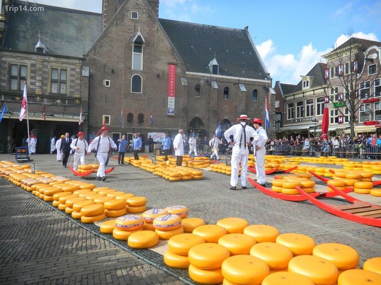 Thị trường phô mai tại Alkmaar | © Elisa Triolo / Flickr - Trip14.com