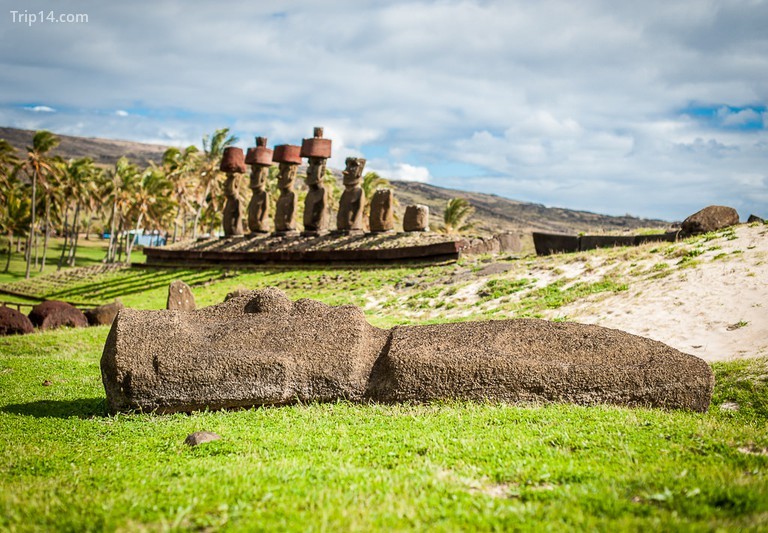 Tại sao các bức tượng Moai lại bị đổ? - Trip14.com