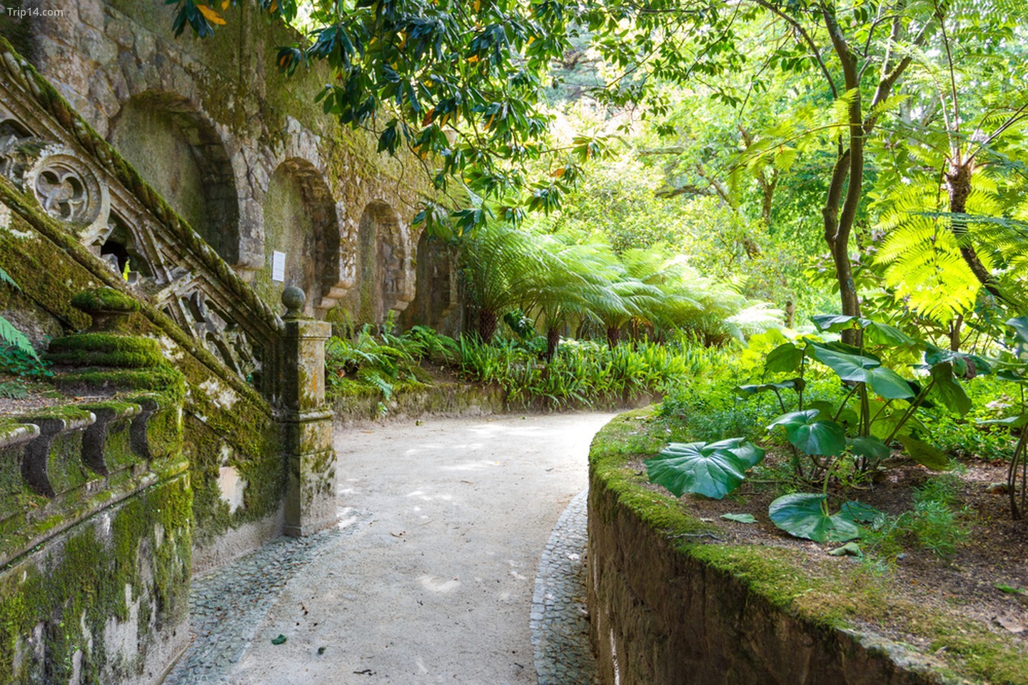 Một khu vườn lãng mạn ở Quinta da Regaleira