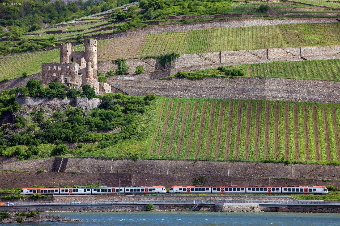 Ngắm nhìn những lâu đài tuyệt đẹp, chẳng hạn như Lâu đài Ehrenfels, trên chuyến tàu xuyên qua Thung lũng Rhine