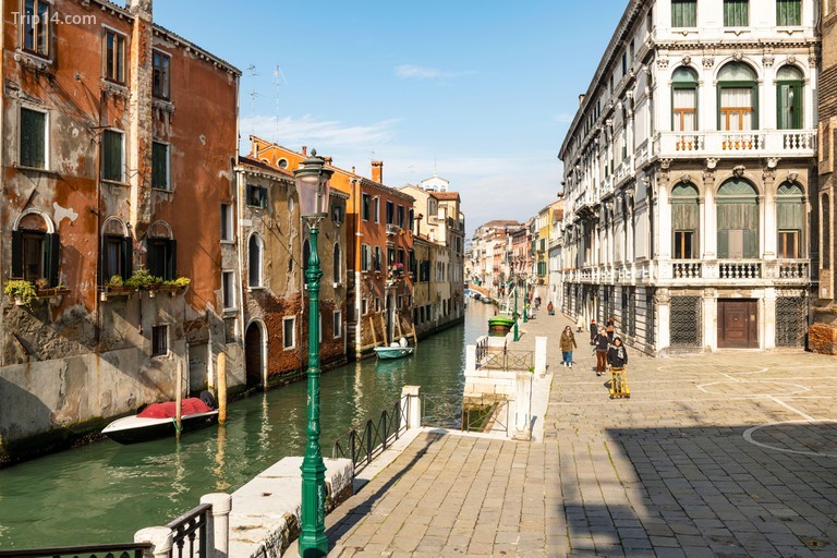 Có phải cá heo thực sự bơi quanh kênh đào ở Venice?