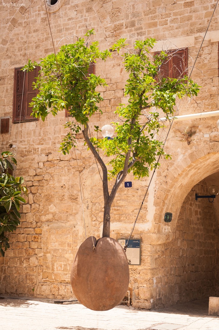 Cây cam nổi của Ron Morin ở Khu nghệ sĩ Yafo, Old Jaffa. - Trip14.com